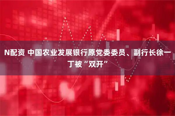 N配资 中国农业发展银行原党委委员、副行长徐一丁被“双开”